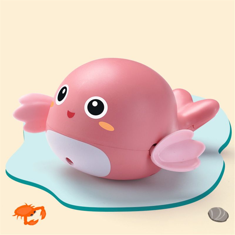 Wind Up Tortoise Classic Baby Water